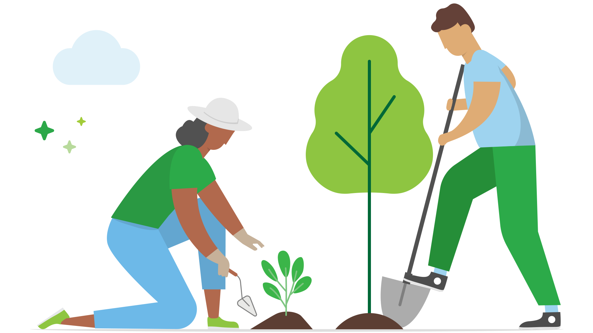 Two people plant trees